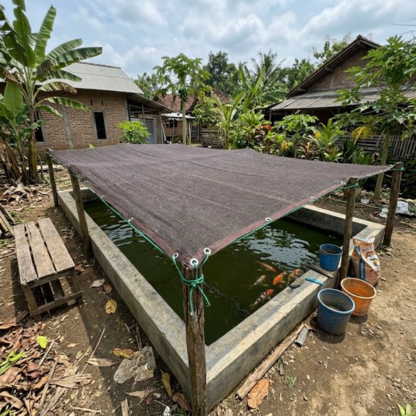 Paranet Coklat Kolam Ikan